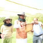 मुख्यमंत्री आवास परिसर में मंगलवार को शहद निष्कासन कार्य किया गया