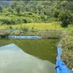 मछली पालन से स्वरोजगार की मिसाल पेश कर रहे पाबौ के राजेंद्र चमोली